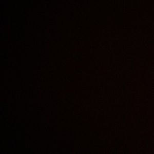 Meet your Posher, Wesley